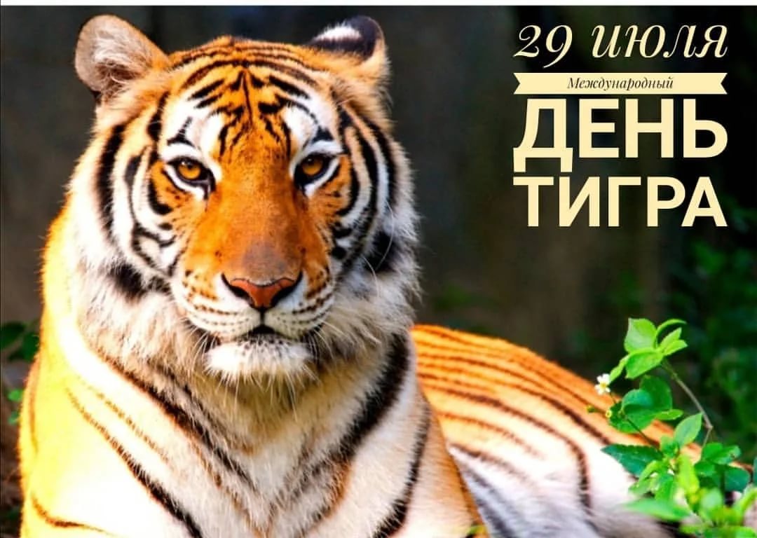 « Полосатые друзья».